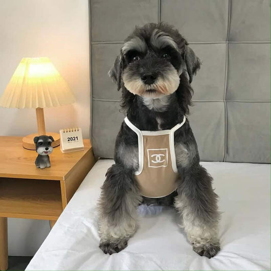 Puppy Prime Dress