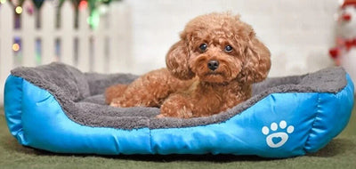 Orthopedic Cozy Plush Calming Dog Bed