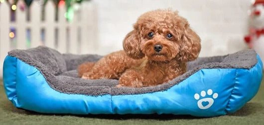 Orthopedic Cozy Plush Calming Dog Bed