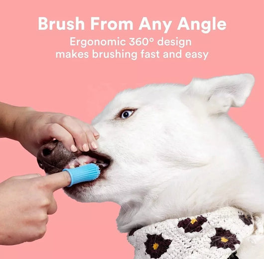Doggo Finger Brush Layered Toothbrush