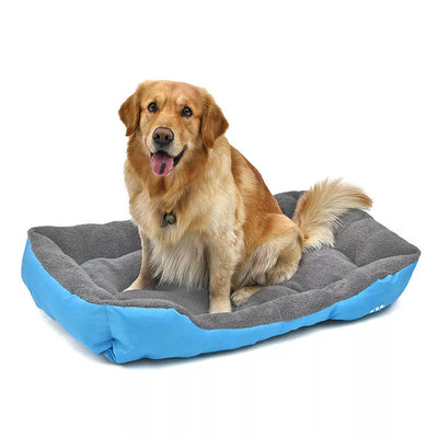 Orthopedic Cozy Plush Calming Dog Bed