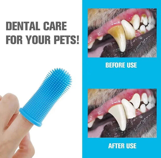 Doggo Finger Brush Layered Toothbrush