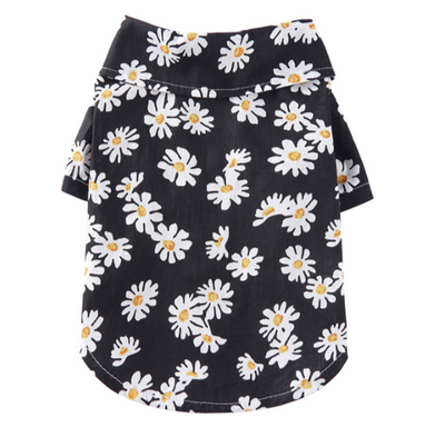 Bark On The Beach Hawaii Banger Shirt