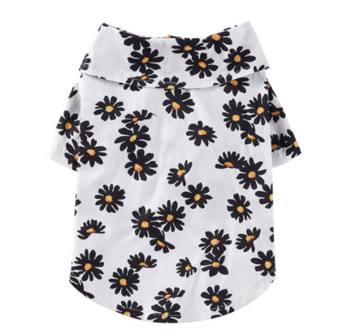 Bark On The Beach Hawaii Banger Shirt