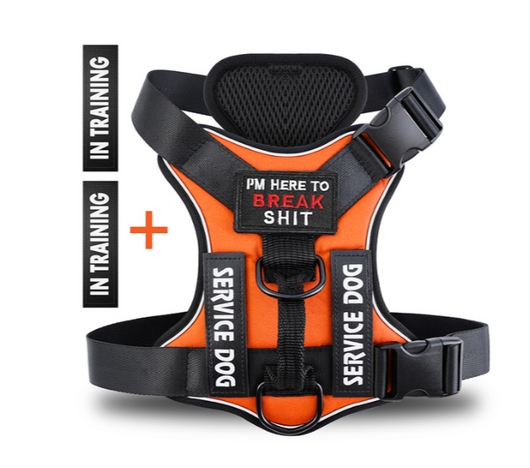 Hound Hustle Posh Harness