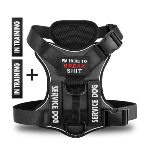Hound Hustle Posh Harness