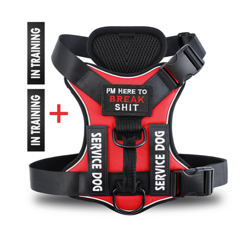 Hound Hustle Posh Harness