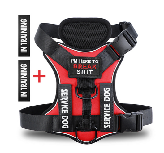 Hound Hustle Posh Harness