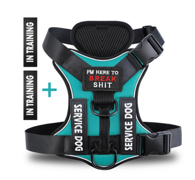 Hound Hustle Posh Harness