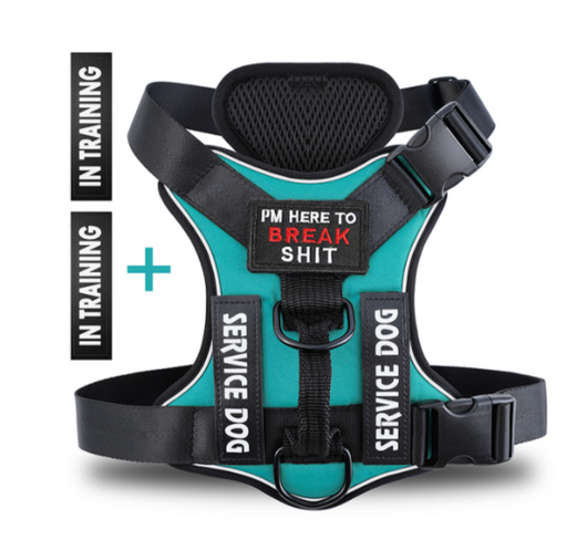 Hound Hustle Posh Harness