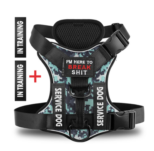 Hound Hustle Posh Harness