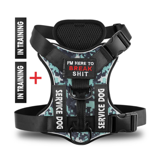Hound Hustle Posh Harness
