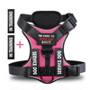 Hound Hustle Posh Harness