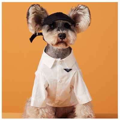 Summer Denim Doggo Vibrant Shirt