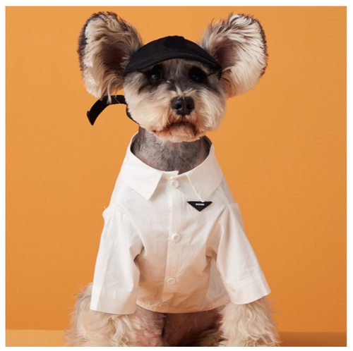 Summer Denim Doggo Vibrant Shirt