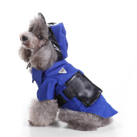 Small Dog Vintage Costumes