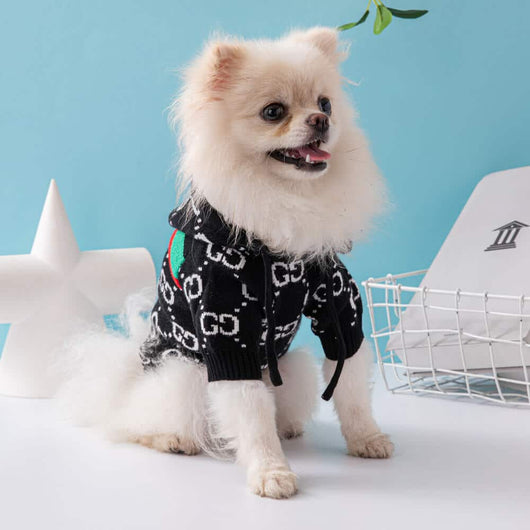 Warm Dog Hoody Flash Sweaters