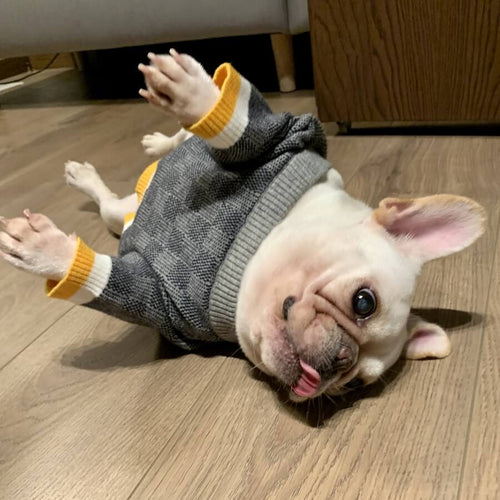 Winter Greay Dog Flex Sweaters