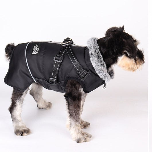 Winter Dog Sketchy Jacket