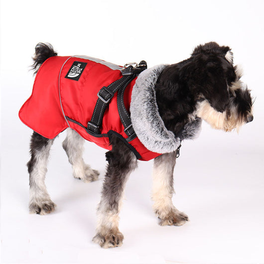 Winter Dog Sketchy Jacket