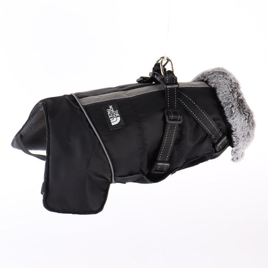 Winter Dog Sketchy Jacket