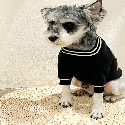 Dogs Fashion Amped Clothes