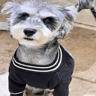 Dogs Fashion Amped Clothes