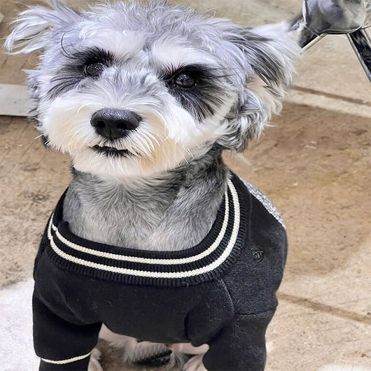 Dogs Fashion Amped Clothes