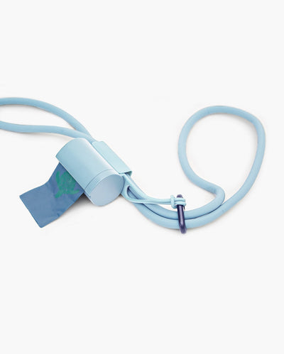 Hands-Free Dog Leash Walking Set