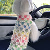 Big Dog Adventure Vest