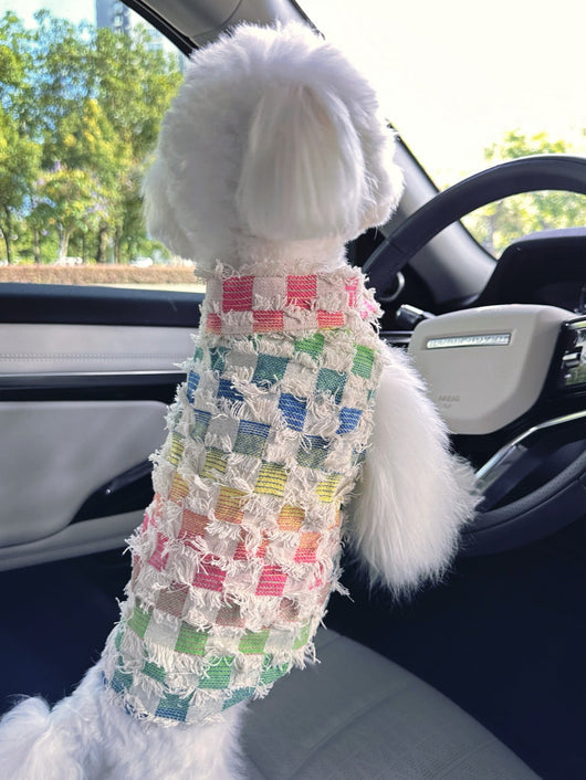 Big Dog Adventure Vest