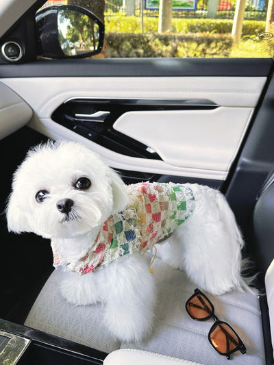 Big Dog Adventure Vest