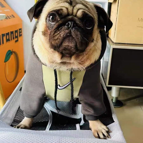 Big Dog Cozy Sweatshirt with Hood