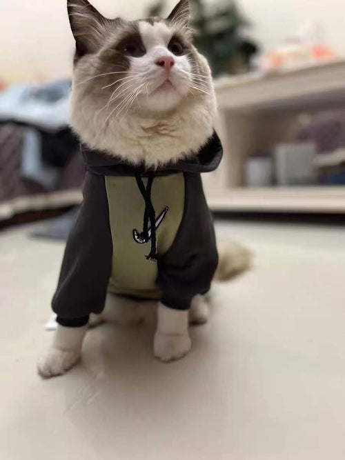 Big Dog Cozy Sweatshirt with Hood