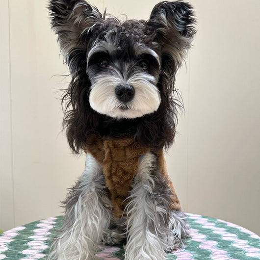 Big Dog Fur Vest