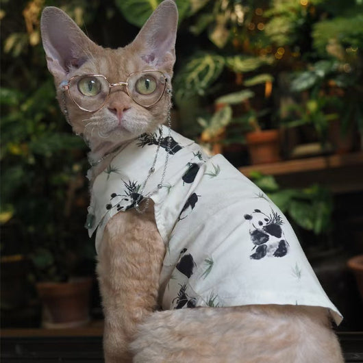 Big Dog & Cat Cool Vest