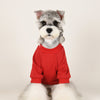 Big Dog Cozy Cute Sweatshirt