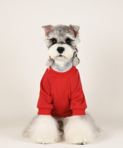 Big Dog Cozy Cute Sweatshirt