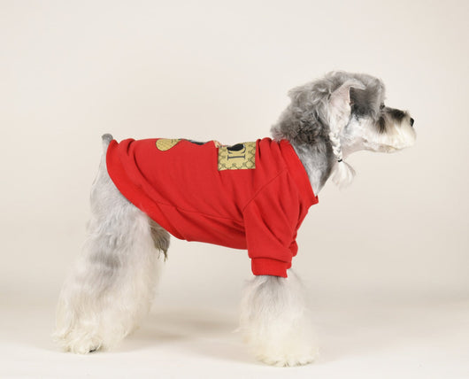 Big Dog Cozy Cute Sweatshirt