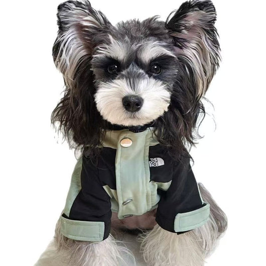 Big Dog Lightweight Jacket