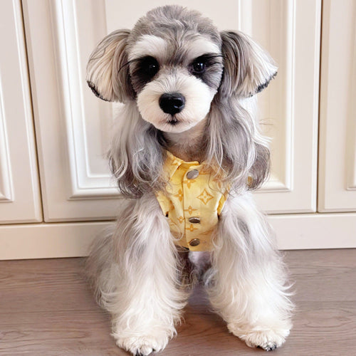 Big Dog Comfort Vest