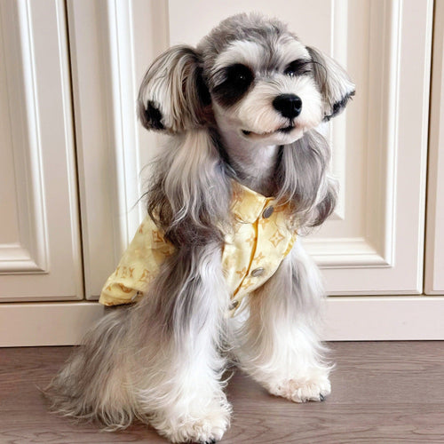 Big Dog Comfort Vest