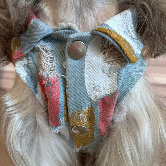 Big Dog Cozy Vest