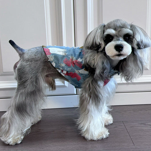 Big Dog Cozy Vest