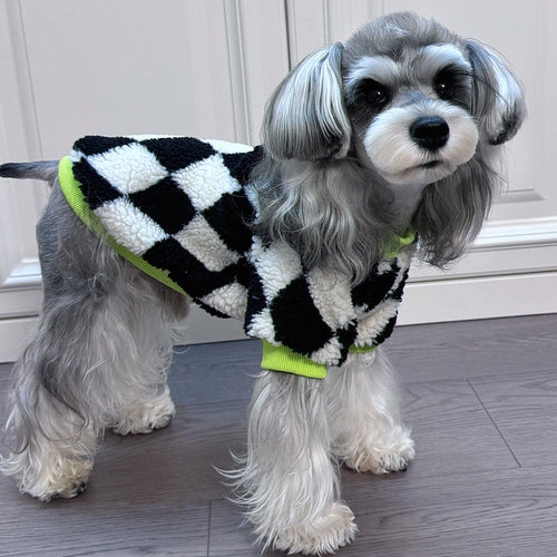 Big Dog Chill Day Sweater