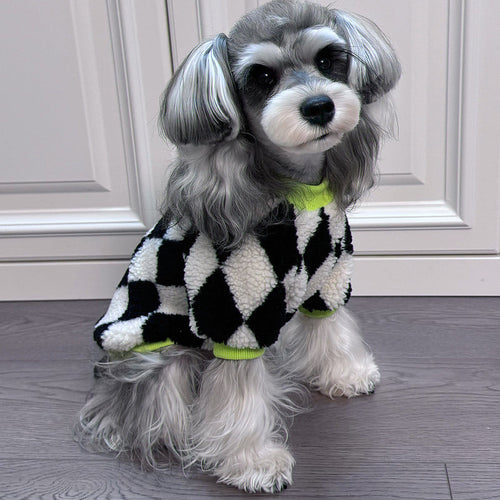 Big Dog Chill Day Sweater