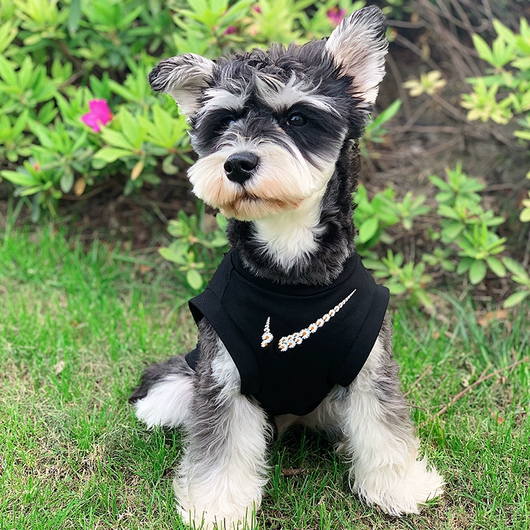 Big Dog Classic Jersey