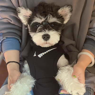 Big Dog Classic Jersey