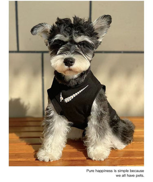 Big Dog Classic Jersey