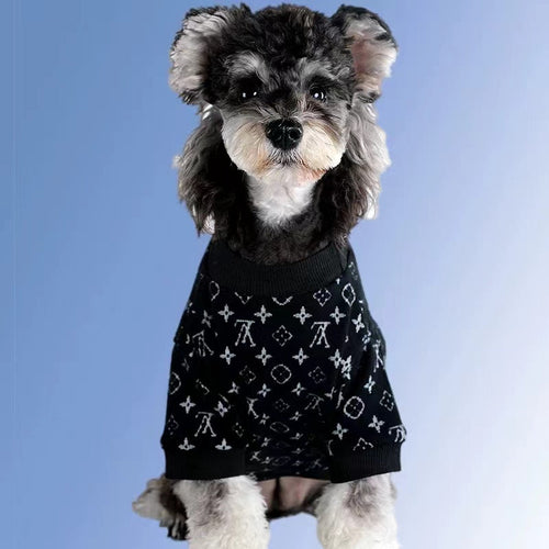 Big Dog LV Winter Cute Sweater